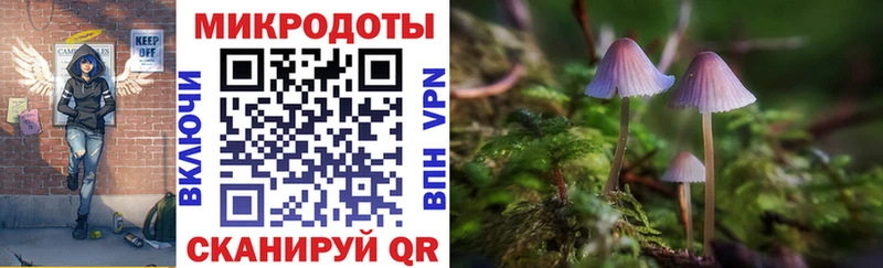 Галлюциногенные грибы Psilocybine cubensis  Купить  Мураши 